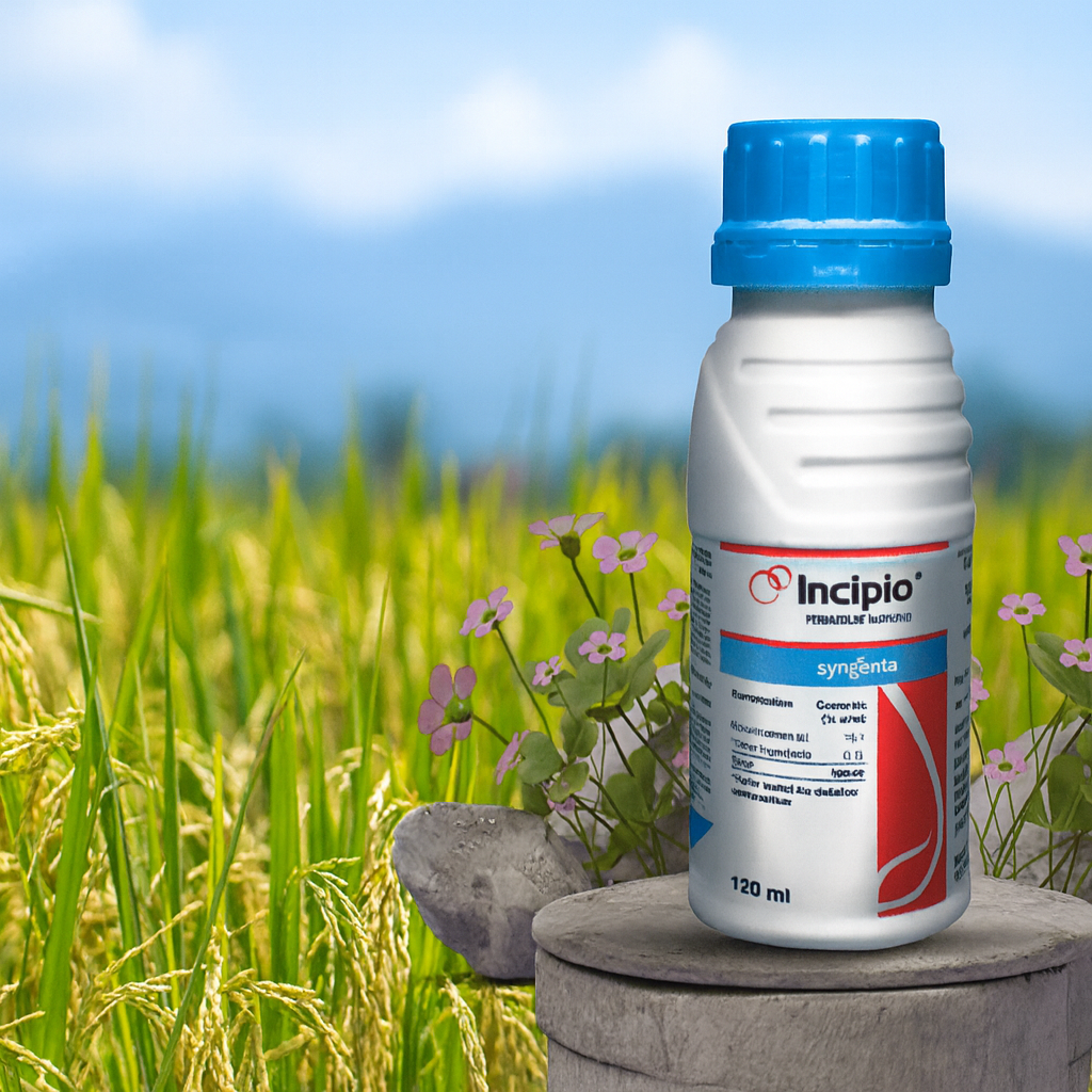 Incipio (इनसिपियो)100ml /240 ml