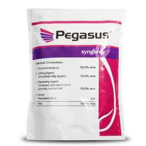 Pegasus powder पेगासस पाउडर (Syngenta) 250/500gm